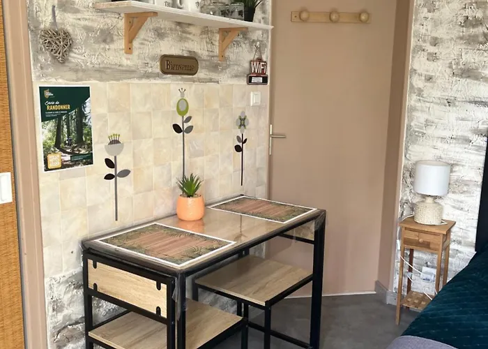 Appartement Proche Puy Du Fou Les Herbiers